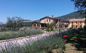 Sulla Strada Di San Francesco